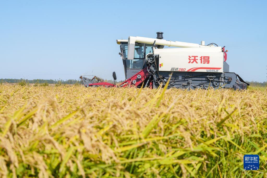 老虎转转转官网